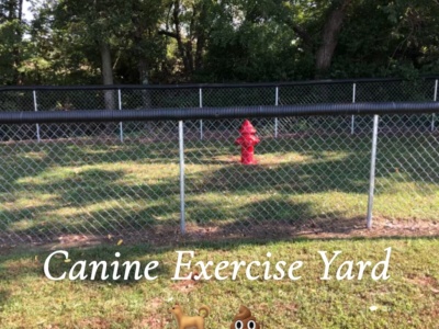 Doc Holliday Cabin 9